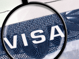 New Visa Portal: This country has launched New Digital Visa Portal, know details