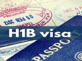 H-1B Visa: Cannot stop H-1B visa, Trump gives big relief to Indians after giving shock on citizenship