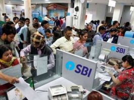 SBI PPF Latest interest Rate 2025: Big news! SBI gives Bumper interest on Public Provident Fund, know interest and benefits here