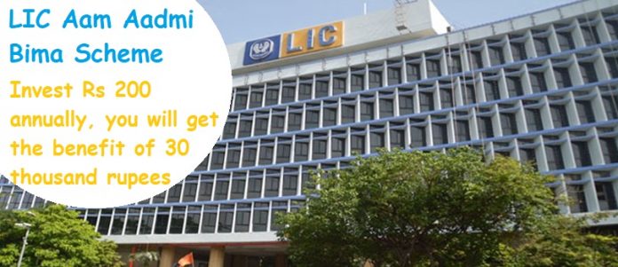 LIC New Scheme: Invest Rs 200 annually, you will get the benefit of 30 thousand rupees, these documents will be needed,