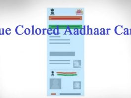 Blue Aadhaar: What is Blue Aadhaar Card? Know for whom this card is made