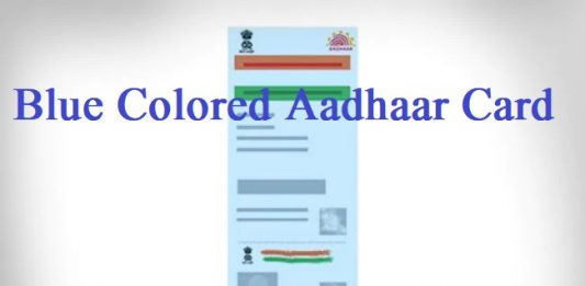 Blue Aadhar Card: Know how Blue Aadhar card is made and what are its benefits