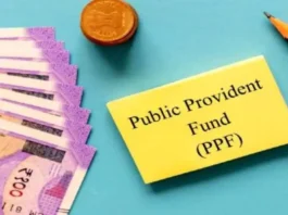 PPF Investment: Alert issued for those investing in Public Provident Fund.