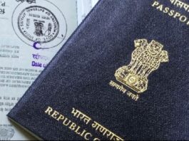 Indian Passport Power has increased, now travelling to these 124 countries has become easier, know details