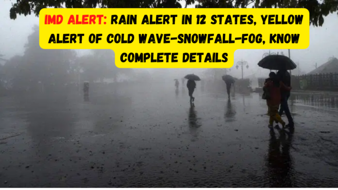 IMD Alert: Rain alert in 12 states, yellow alert of cold wave-snowfall-fog, know complete details