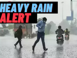 IMD Big alert! Heavy rain alert in these states, know complete details