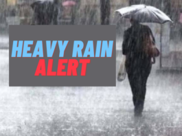 IMD Alert: Heavy rain alert in these states for next five days, check details