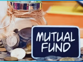 Mutual Fund Retunes: Converted Rs 10 lakh to Rs 17 lakh in just one year, know details