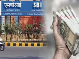 SBI Amrit Vrishti FD Calculation: Check return calculation on ₹100000 to ₹500000 to general people and senior citizens