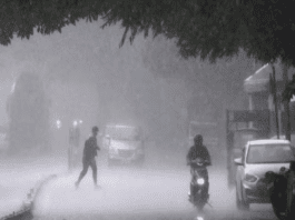 IMD Alert: Weather will change from today, Alert issued for rain and cold wave along with storm in these states, know the weather condition in your state