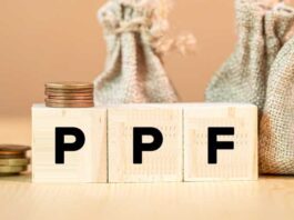 PPF Investment: Understand these 5 rules of Public Provident Fund before opening an account