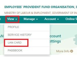 UAN Card Download: How to download UAN card, check easy process