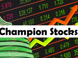 Champion Stocks: There will be profit in 12 months, buy these 9 shares