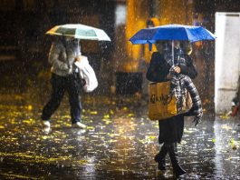 IMD New Alert: Rainfall in UP and Delhi, hailstorm likely, mercury down in North India, Meteorological Department issued alert