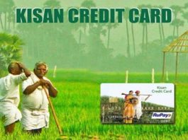 Kisan Credit Card Limit Increase: Good news! Kisan Credit Card limit will increase from Rs 3 lakh to Rs 5 lakh in the budget.