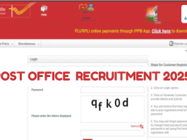 Post Office Recruitment 2025: Golden chance to get job for 10th pass in Post Office without examination, know details