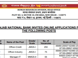 PNB SO Recruitment 2025: Notification released for recruitment to 350 posts in Punjab National Bank, check details